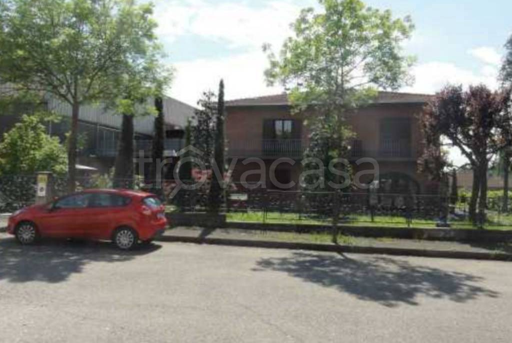 immagine annuncio 1 di 12