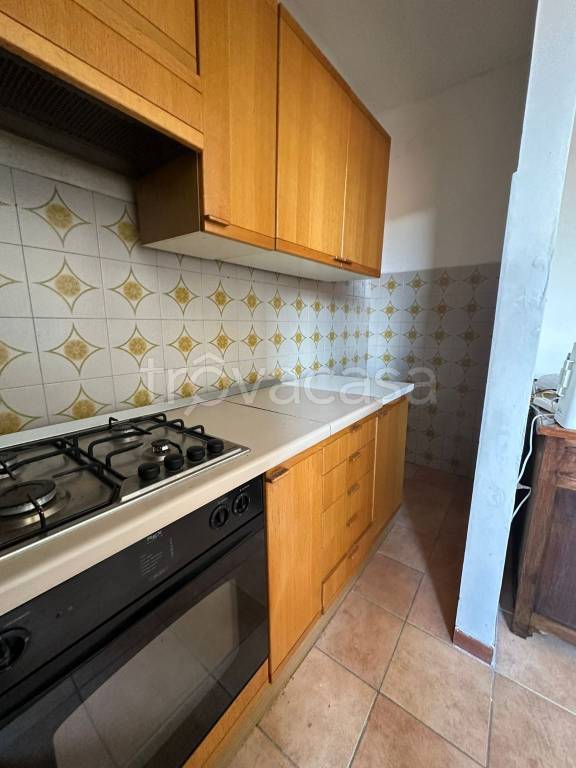 immagine annuncio 7 di 14