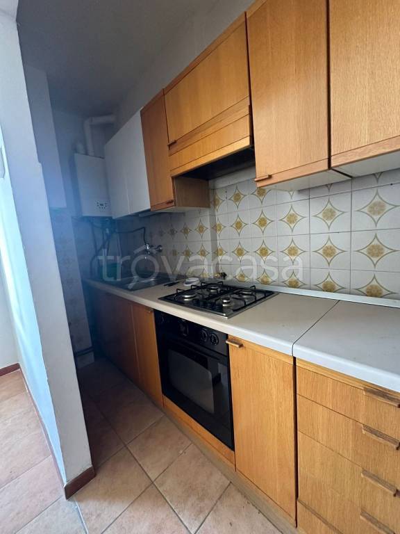 immagine annuncio 11 di 14