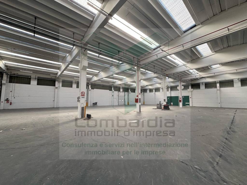immagine annuncio 11 di 14