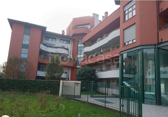 immagine annuncio 3 di 12