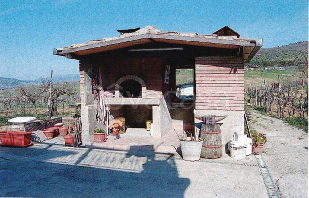 immagine annuncio 2 di 11