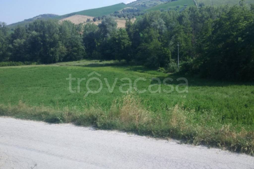 immagine annuncio 4 di 12