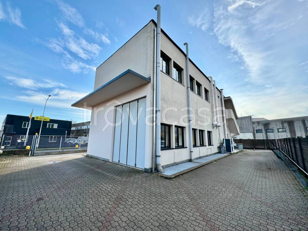 immagine annuncio 11 di 15