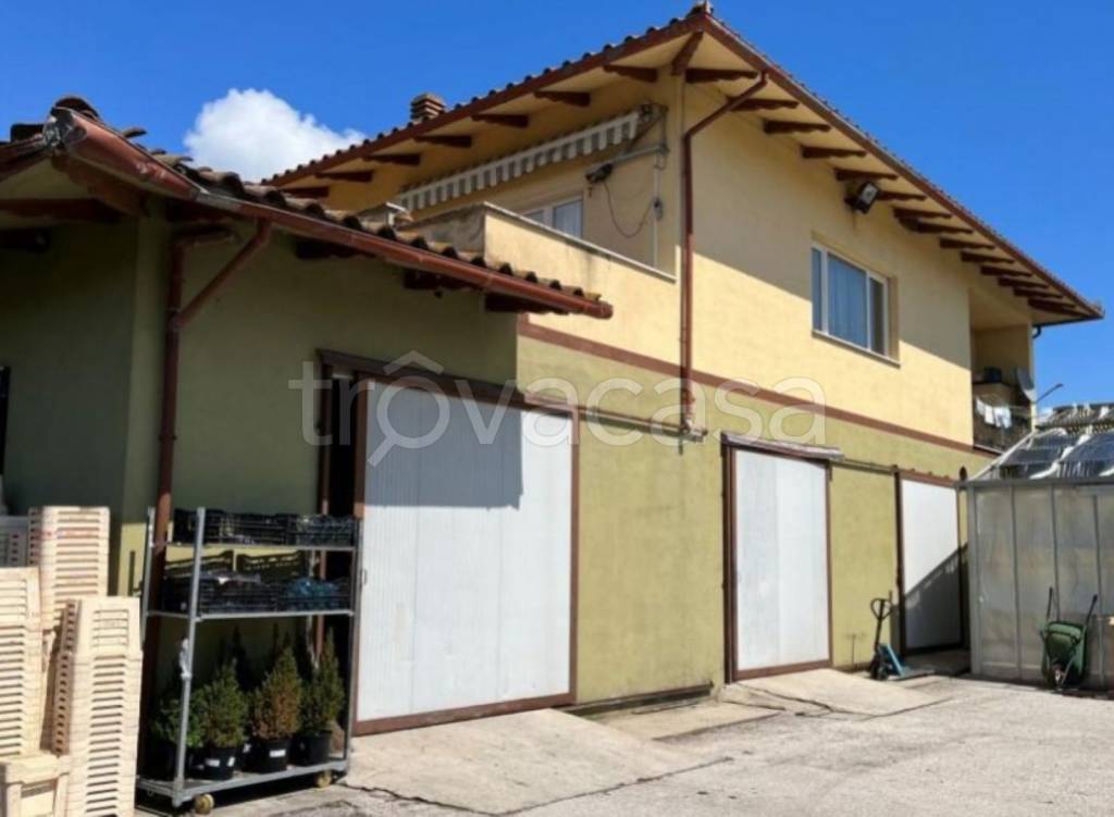 immagine annuncio 11 di 12