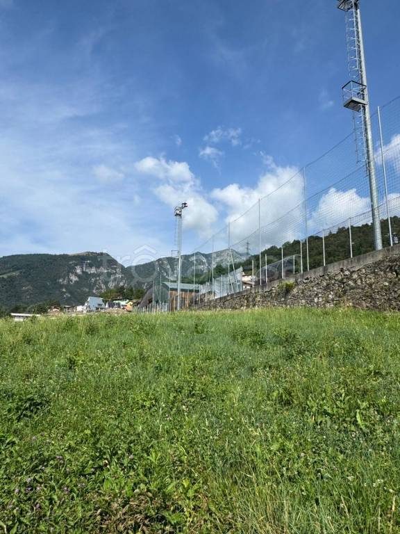 immagine annuncio 8 di 14