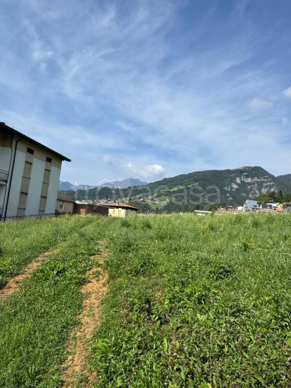 immagine annuncio 10 di 14