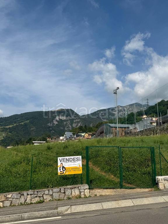 immagine annuncio 12 di 14