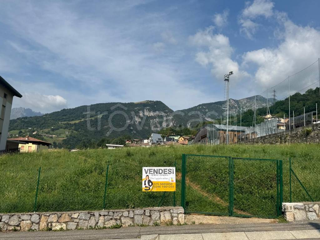 immagine annuncio 13 di 14