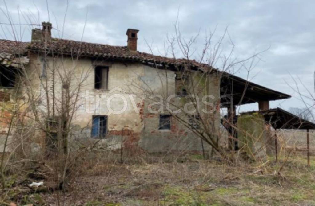 immagine annuncio 3 di 11