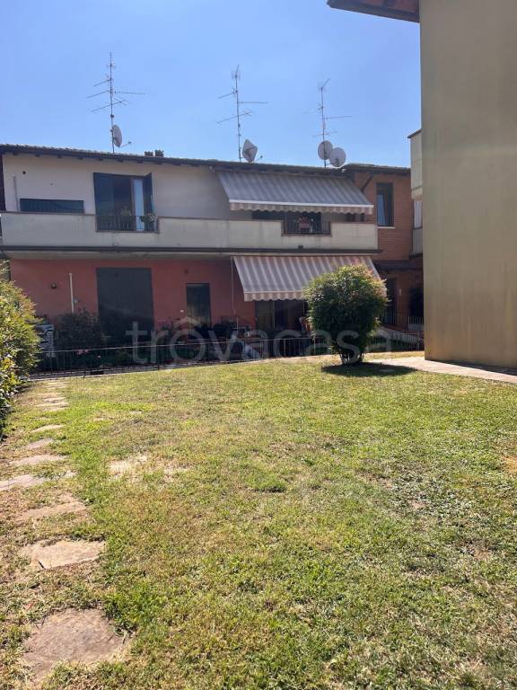immagine annuncio 1 di 12