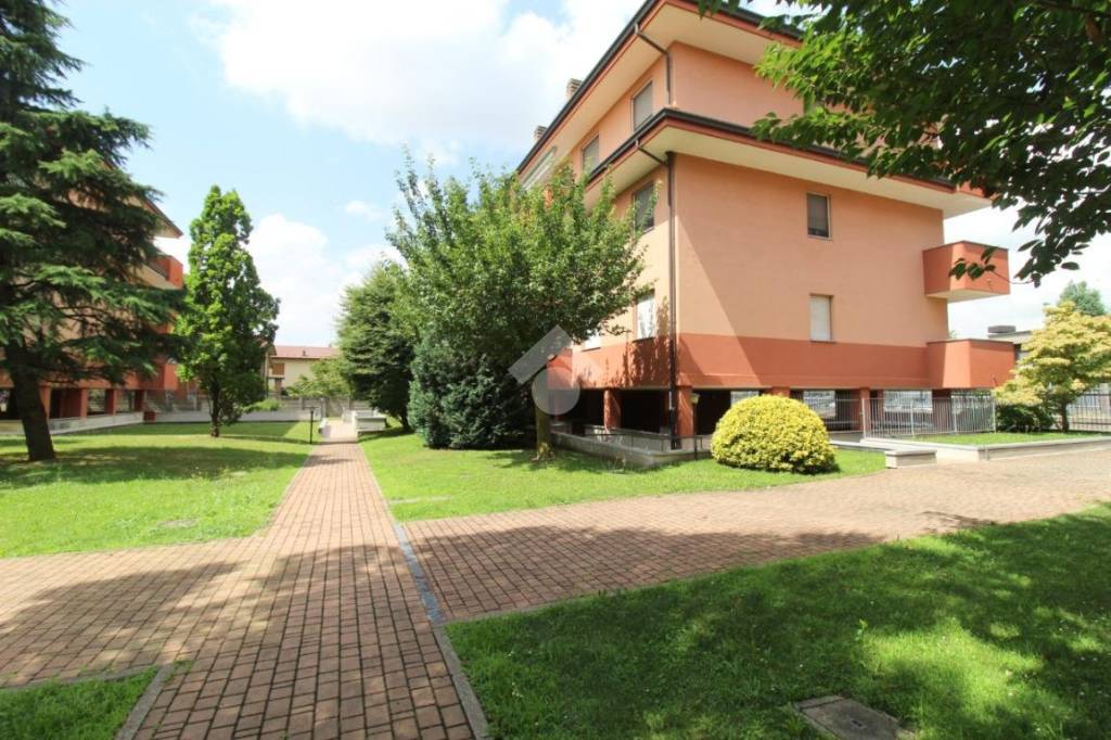 immagine annuncio 11 di 12