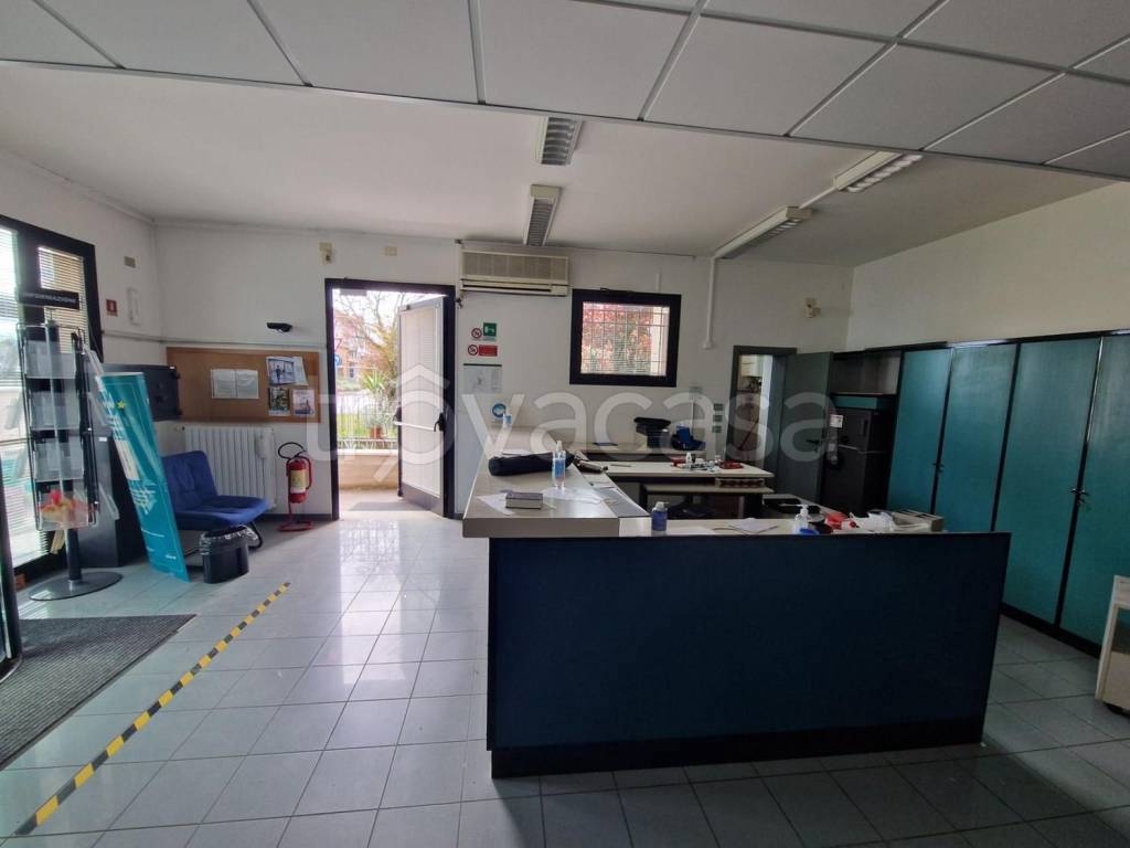 immagine annuncio 3 di 9