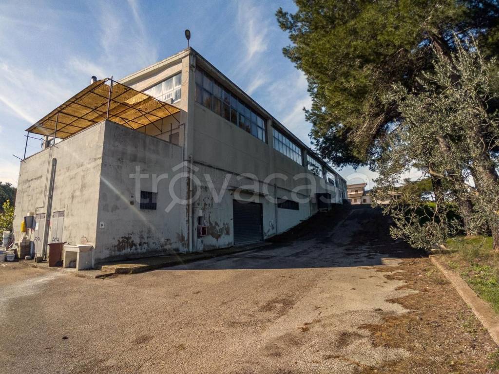 immagine annuncio 6 di 8