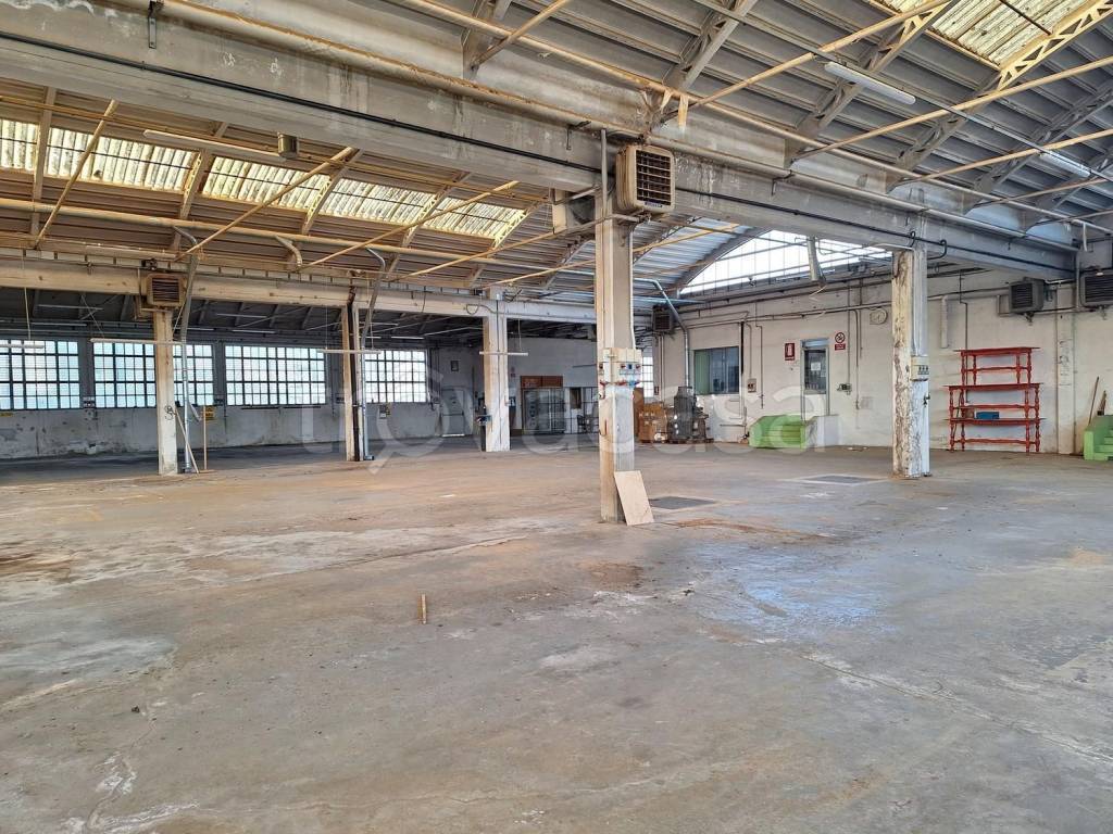 immagine annuncio 11 di 15