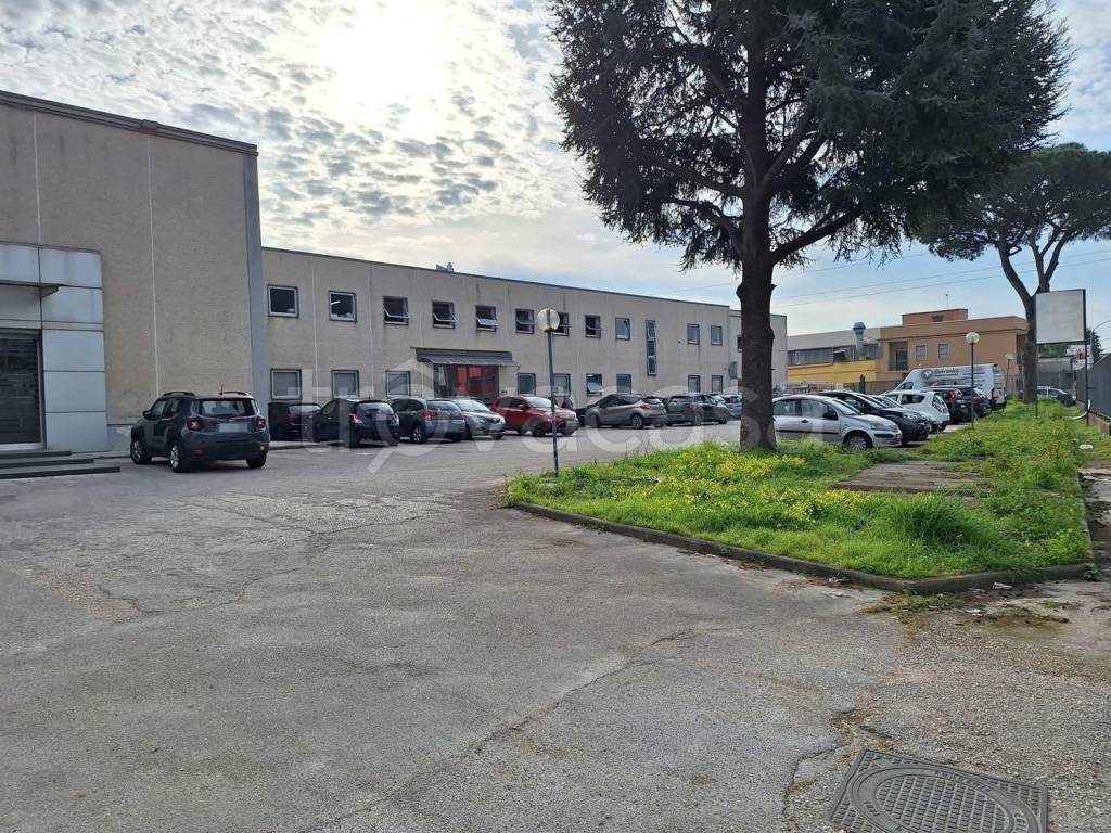 immagine annuncio 2 di 12