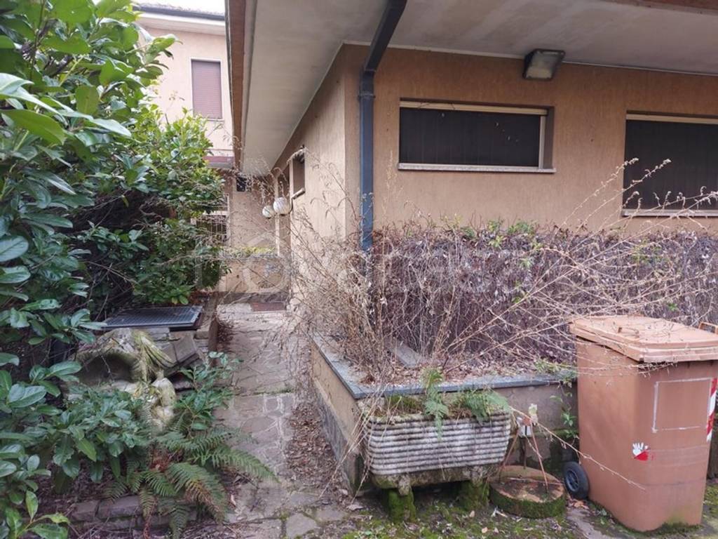 immagine annuncio 5 di 15