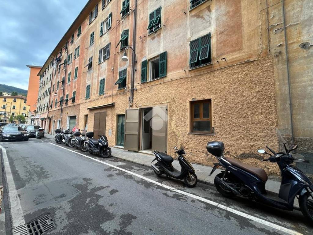 immagine annuncio 1 di 14