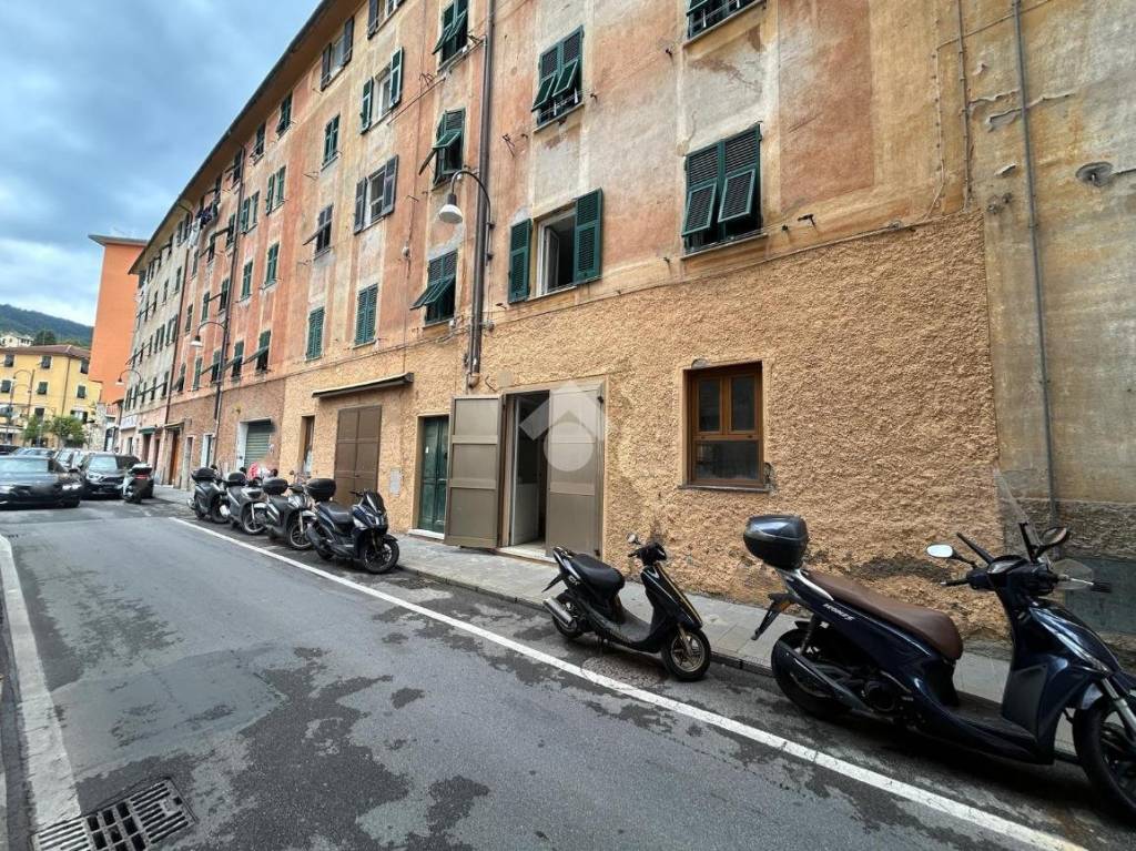 immagine annuncio 4 di 14