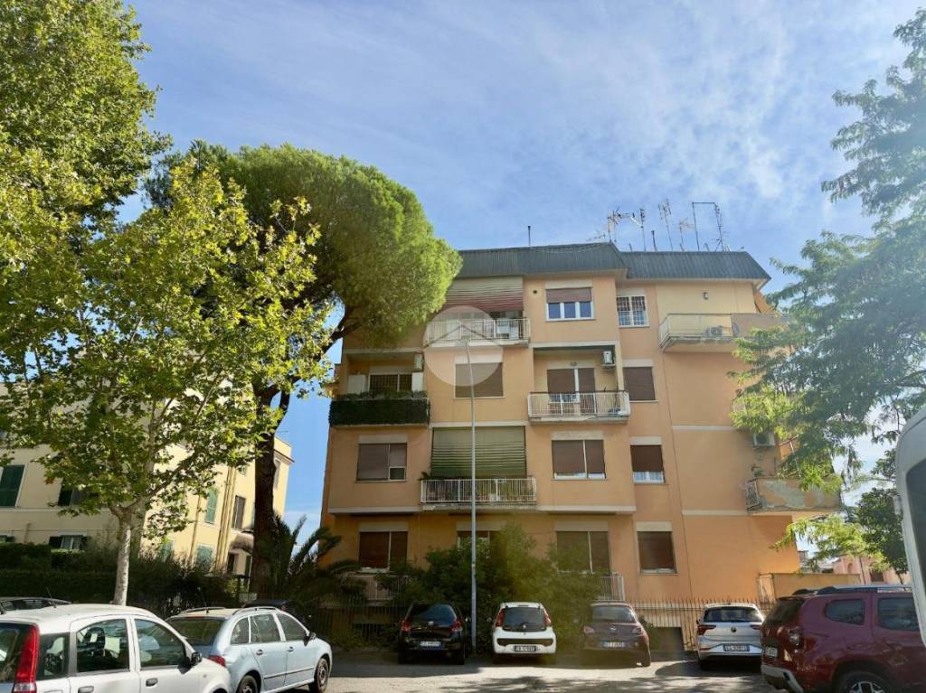 immagine annuncio 1 di 7