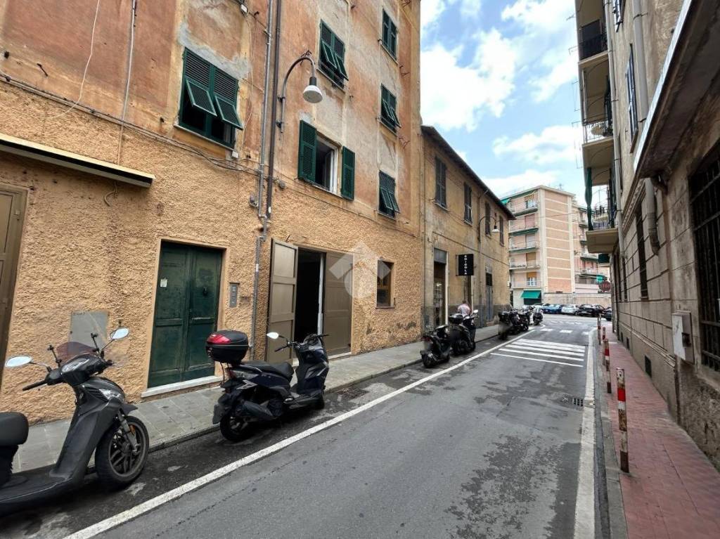 immagine annuncio 5 di 14