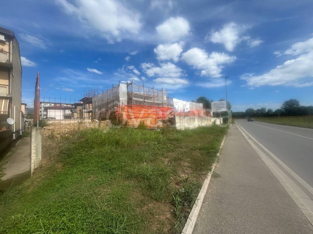 immagine annuncio 9 di 14