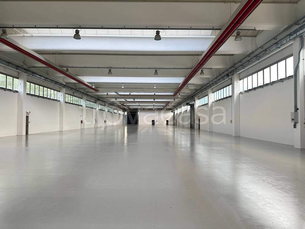 immagine annuncio 6 di 11