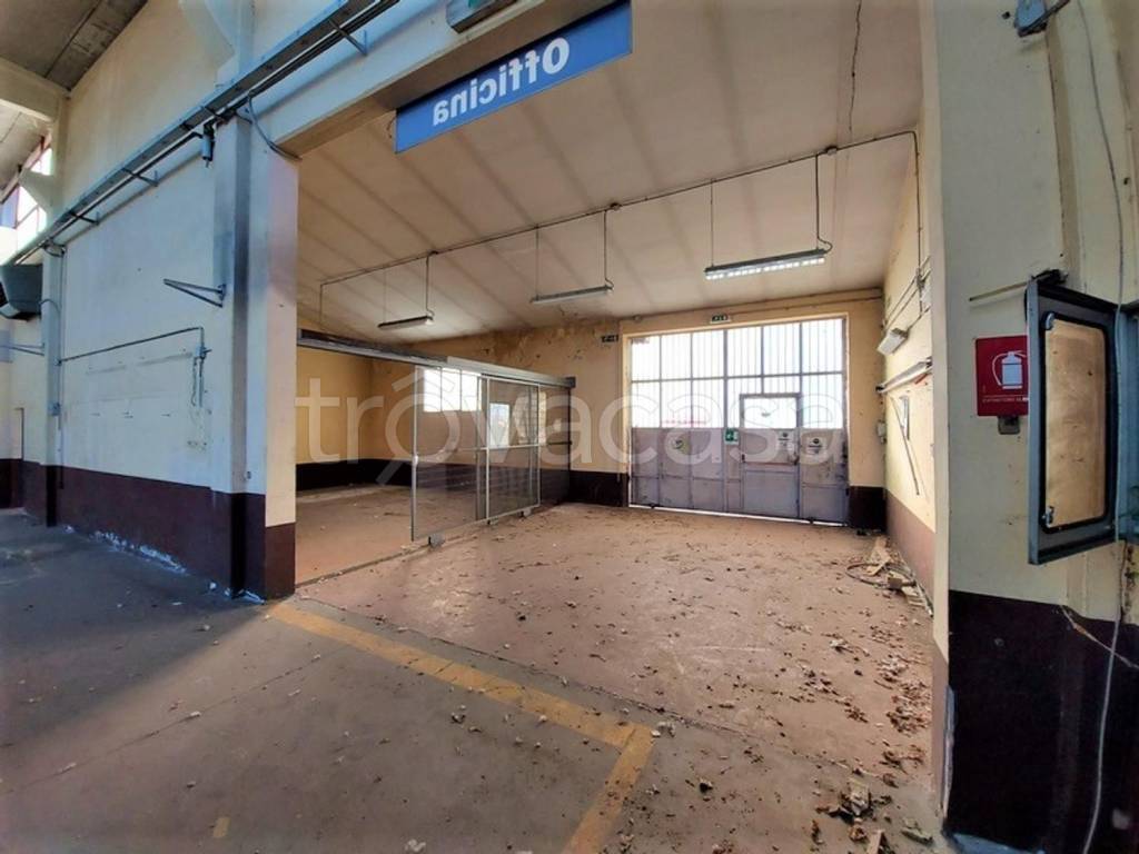 immagine annuncio 6 di 15
