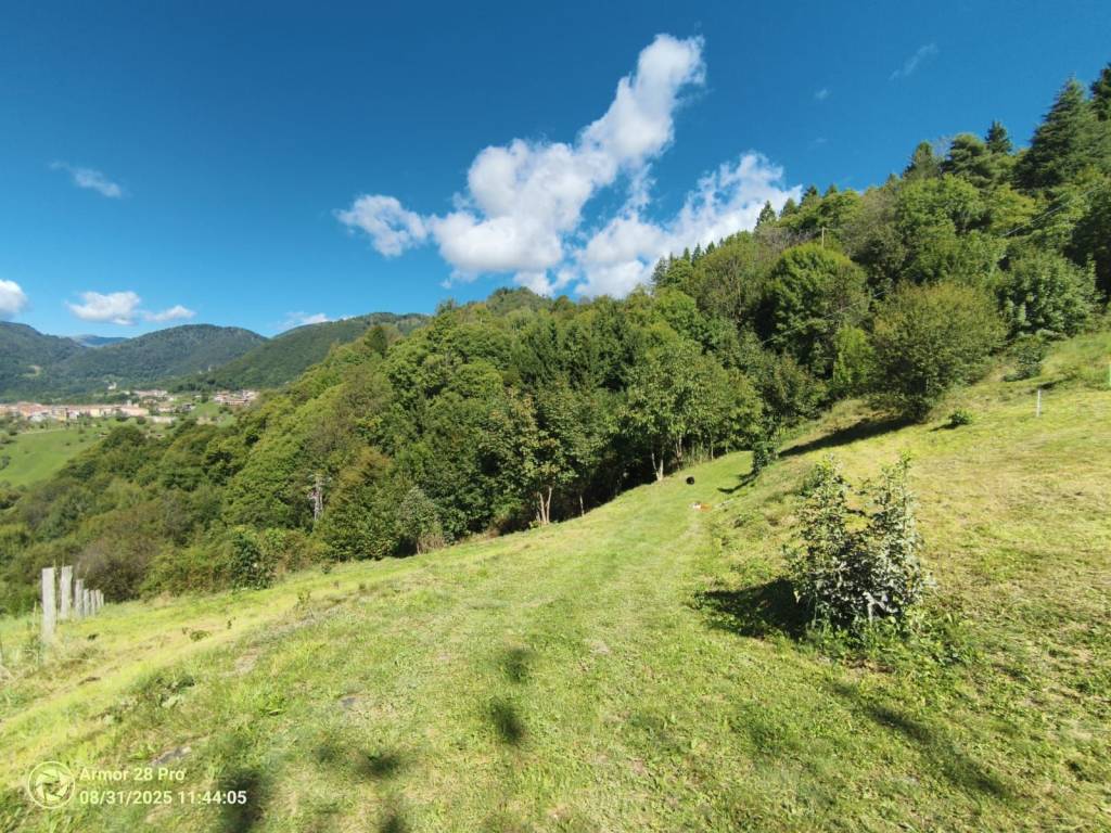 immagine annuncio 8 di 12
