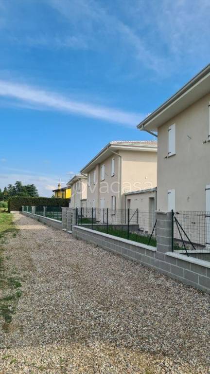 immagine annuncio 5 di 12