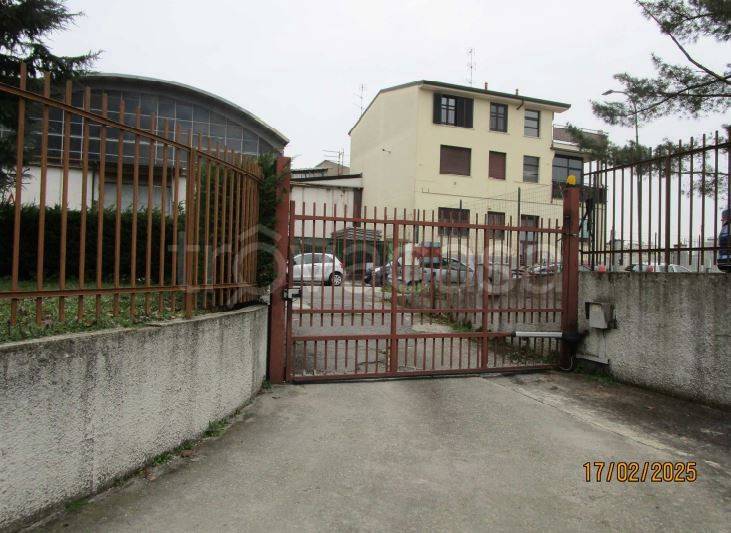 immagine annuncio 9 di 12