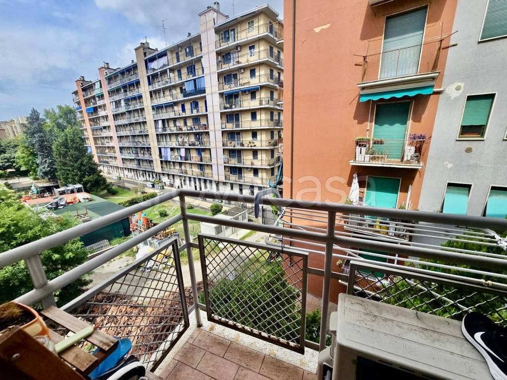 immagine annuncio 12 di 15