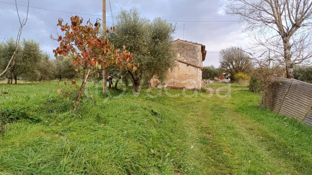 immagine annuncio 2 di 11