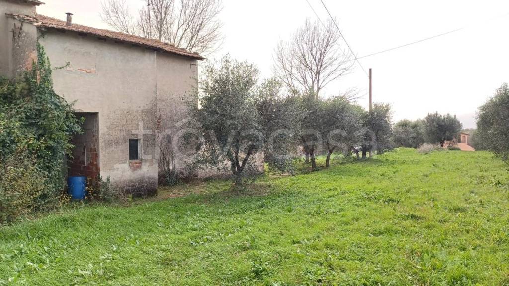 immagine annuncio 6 di 11