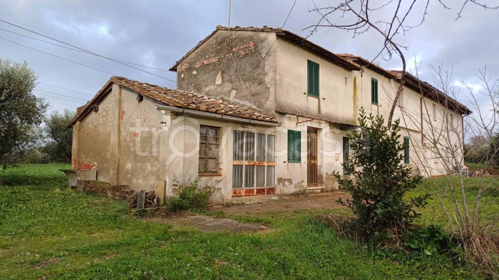 immagine annuncio 7 di 11