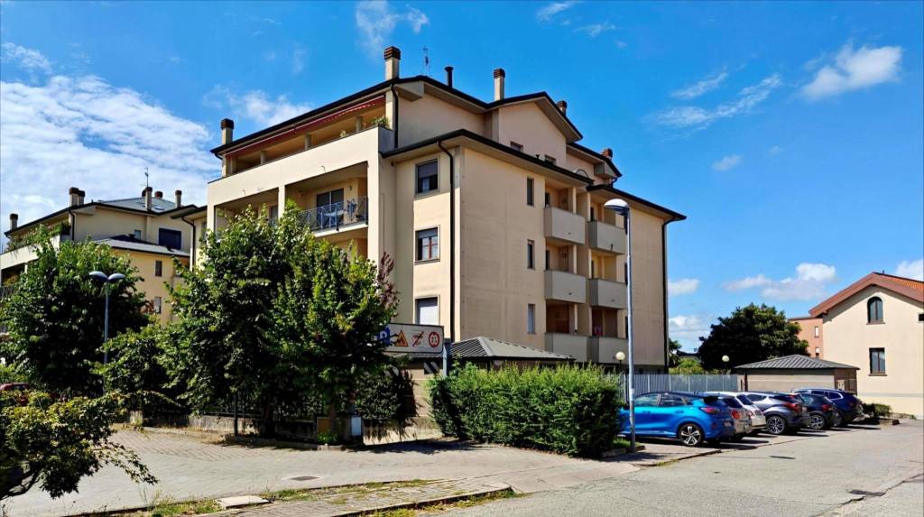 immagine annuncio 4 di 15