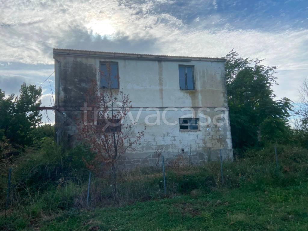 immagine annuncio 5 di 7