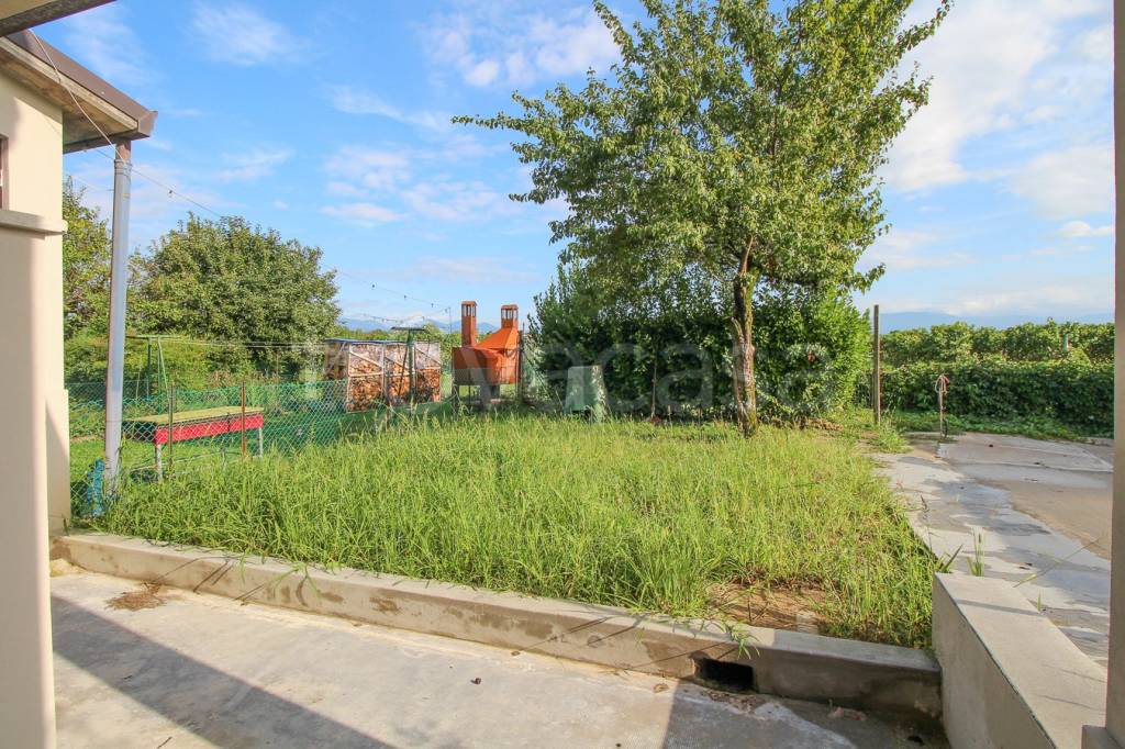 immagine annuncio 5 di 12