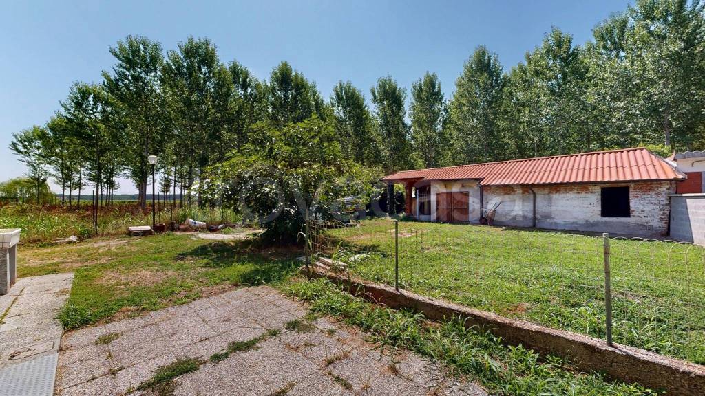 immagine annuncio 3 di 15