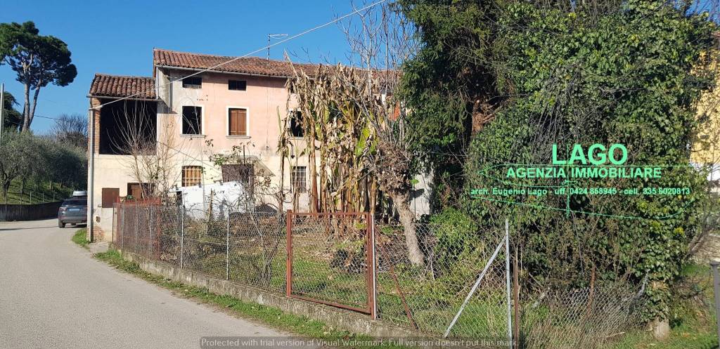 immagine annuncio 3 di 6
