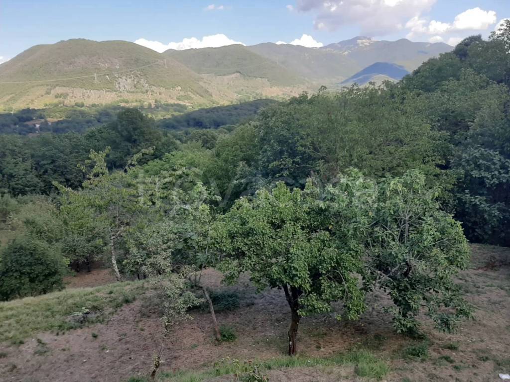 immagine annuncio 4 di 6