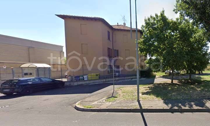 immagine annuncio 4 di 8