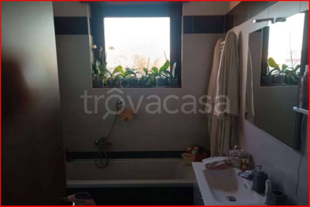 immagine annuncio 7 di 14