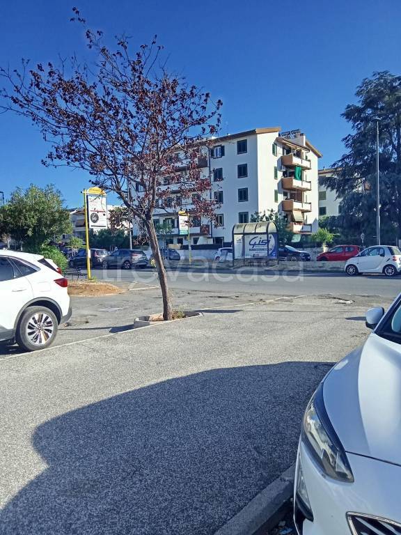 immagine annuncio 2 di 12