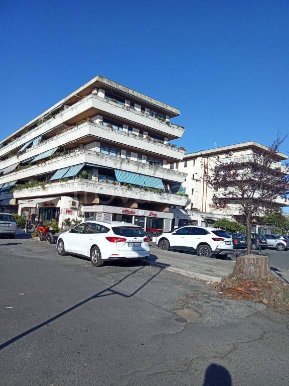immagine annuncio 7 di 12