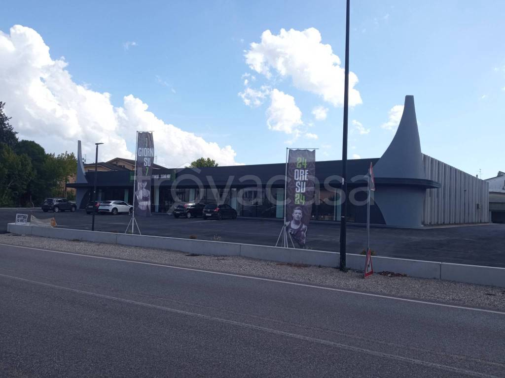immagine annuncio 10 di 11
