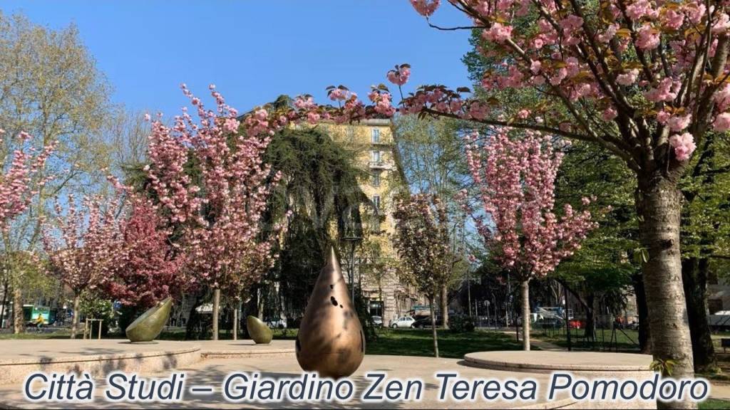 immagine annuncio 6 di 12