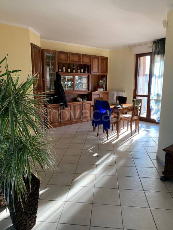 immagine annuncio 1 di 8