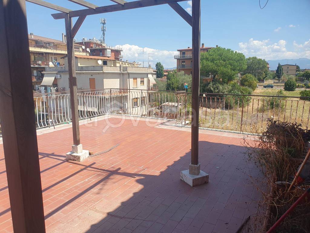 immagine annuncio 5 di 14