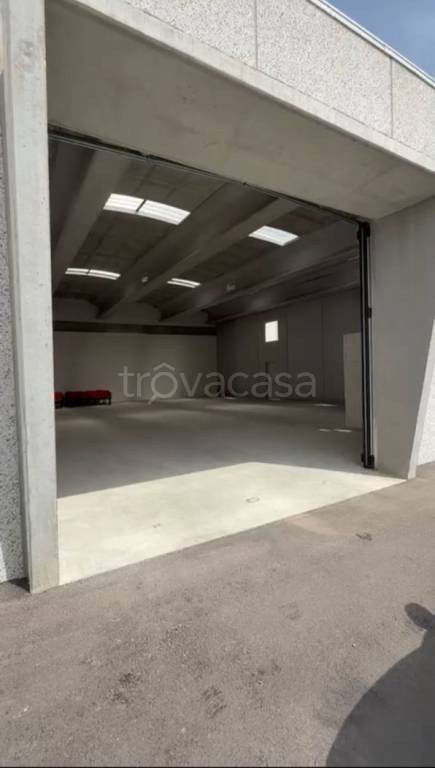 immagine annuncio 2 di 6